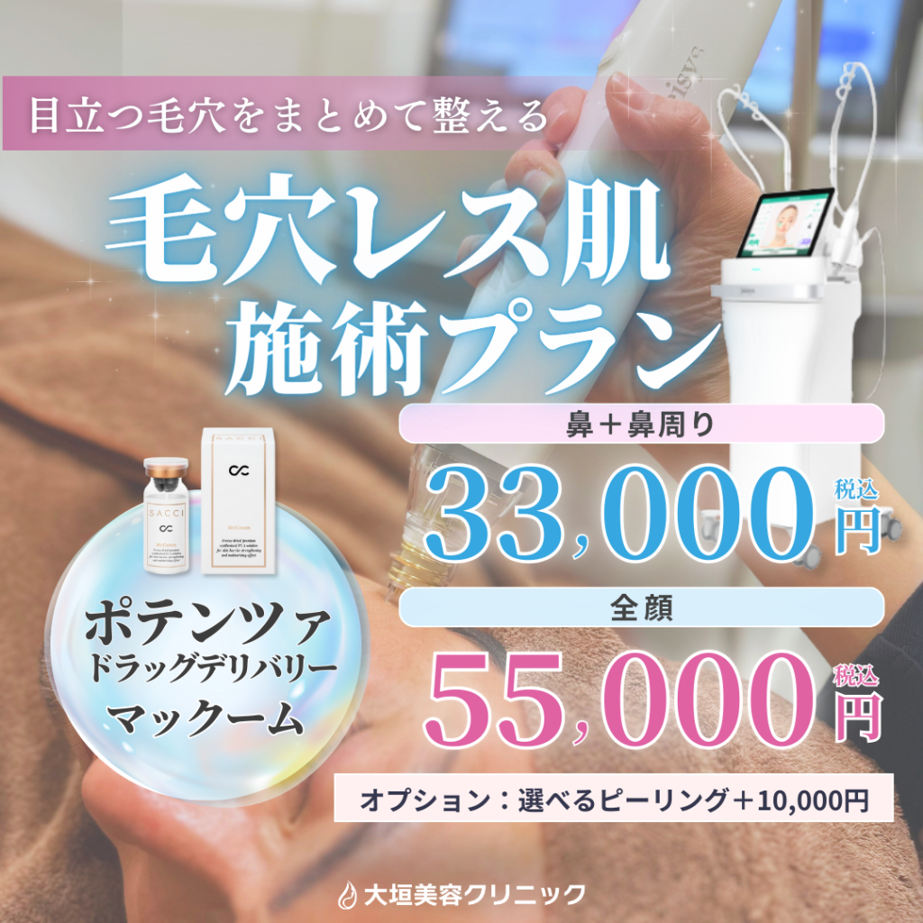 【2月限定】毛穴レス肌施術プラン