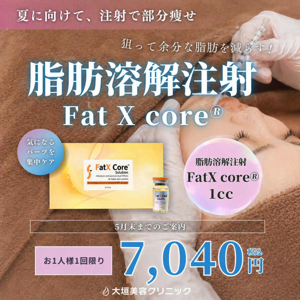 【5月限定】夏に向けて、注射で部分痩せ！脂肪溶解注射 FatX core® 7,040円