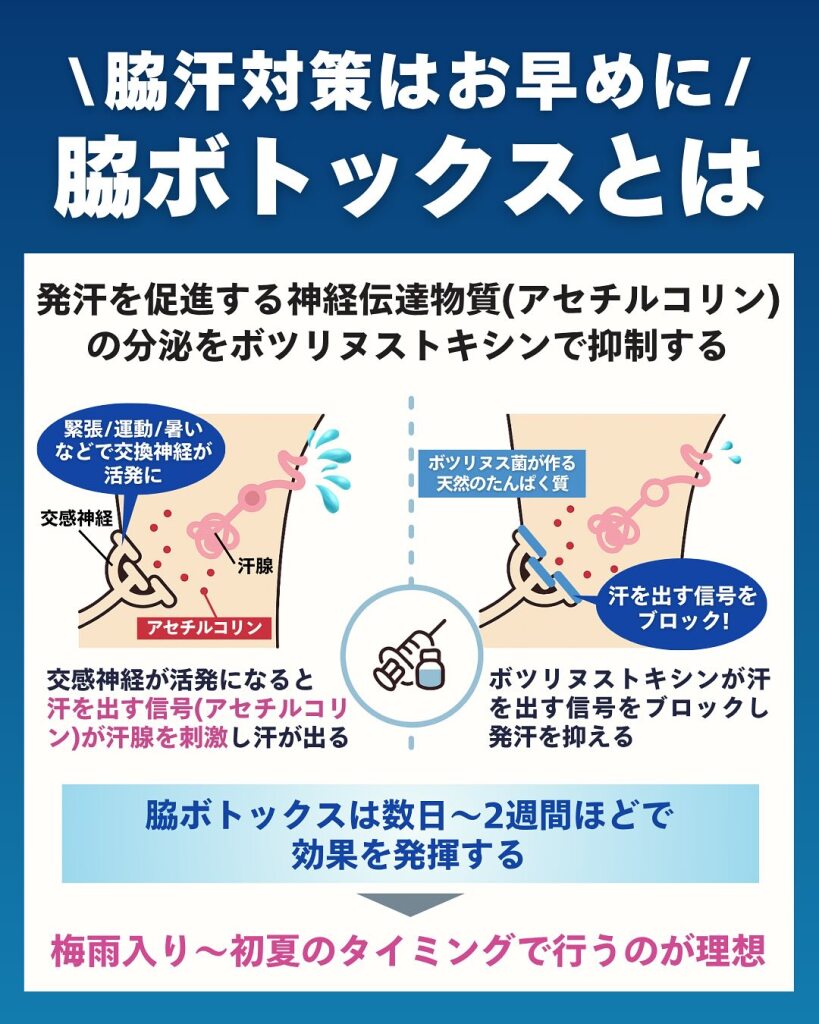 多汗症ボトックスを岐阜で検討中の方へ｜脇汗・顔汗の悩みを医療で考えるという選択｜岐阜・大垣市の美容皮膚科・脱毛の大垣美容クリニック
