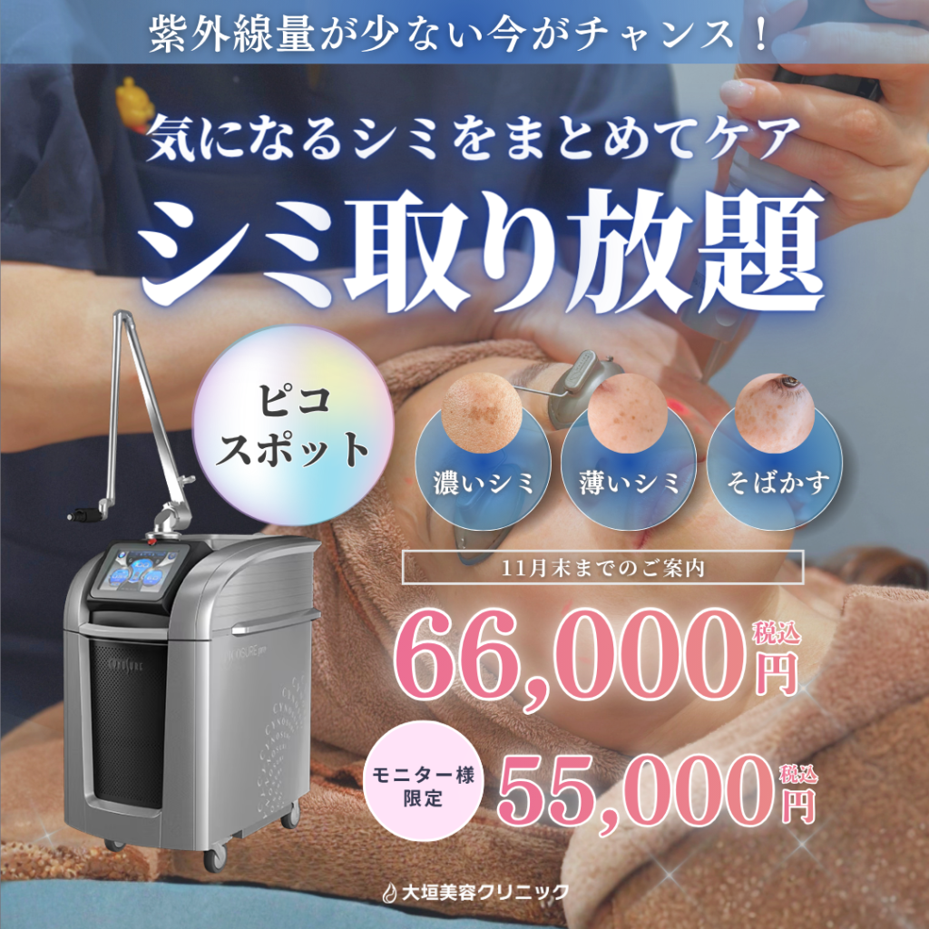 【11月限定】ピコスポット シミ取り放題｜66,000円／モニター 55,000円